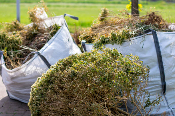 Best Full-Service Junk Removal  in , AZ